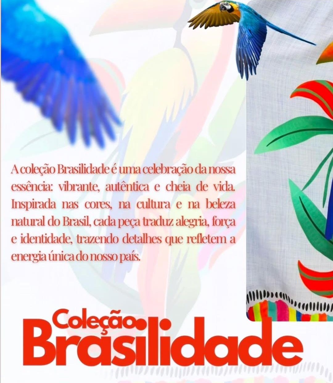 Brasilidade
